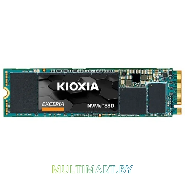 SSD диск Kioxia Exceria 250GB (LRC10Z250GG8)
